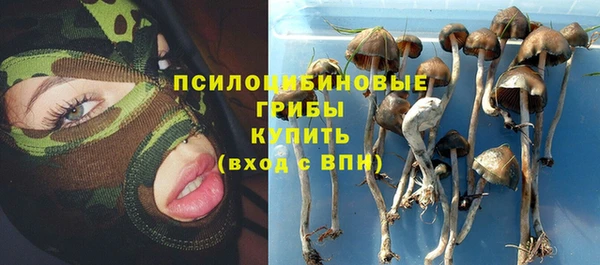 тгк Наволоки