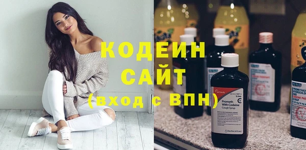 крисы Инсар
