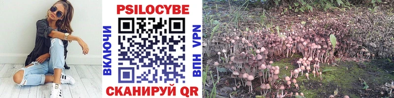 Псилоцибиновые грибы прущие грибы  hydra ссылка  Смоленск  закладка 